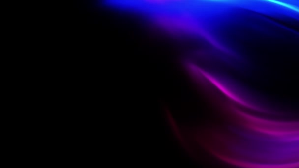 色彩斑斓的蓝粉色羽毛像抽象的动画 在黑暗的背景音乐中飘扬 — 图库视频影像