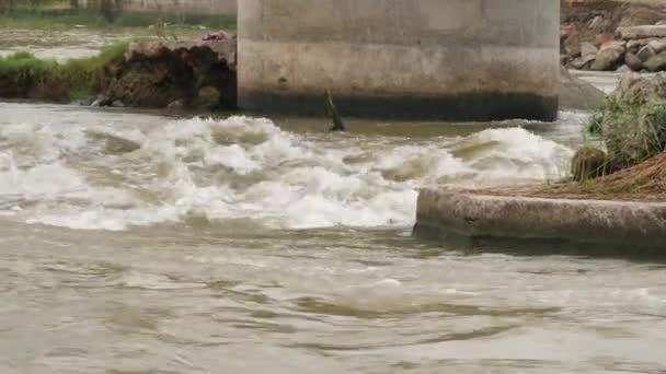 흐르는 시냇물 사이에 세워진 커다란 기둥을 모습을 — 비디오