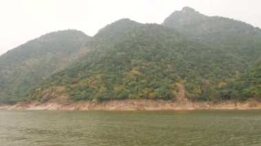 Çalı tepe ve yeşil okyanusun hareket kısa klibi