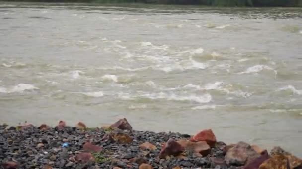 Pequeñas Piedras Pequeñas Piedras Sobre Agua Corriente Río — Vídeo de stock