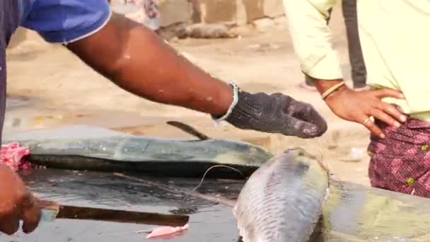 Człowiek Wycinający Płetwy Grubej Ryby Zdrapujący — Wideo stockowe