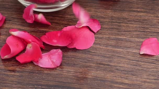 Пелюстки Червоної Троянди Літають Ізольовані Фоні Дерева — стокове відео