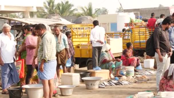 Άνθρωποι Αγοράζουν Και Πωλούν Ψάρια Μια Ψαραγορά Chirala Fish Market — Αρχείο Βίντεο