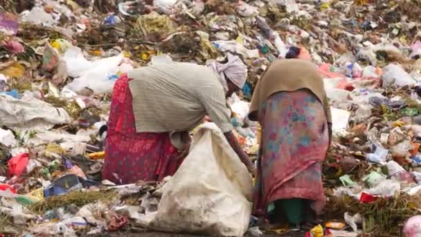 Adam Çöp Sahasında Işe Yarar Maddeler Aramak Için Kavisli Sopa — Stok video