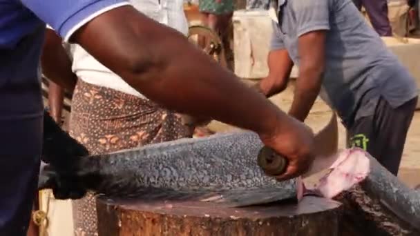 Człowiek Krojący Dużą Rybę Duże Rozmiary Wycinający Płetwy — Wideo stockowe