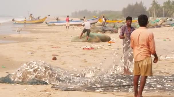 すぐに網から魚を振り払う男たち — ストック動画