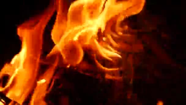 Ogień Płonący Substancją Ciemne Tło Żółte Płomienie — Wideo stockowe