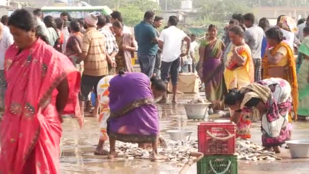 Yerdeki Büyük Miktardaki Balıkları Ayıran Kadın Chirala Balık Pazarı Hindistan — Stok video