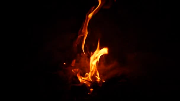Oheň Hoří Místě Tmavé Okolí — Stock video