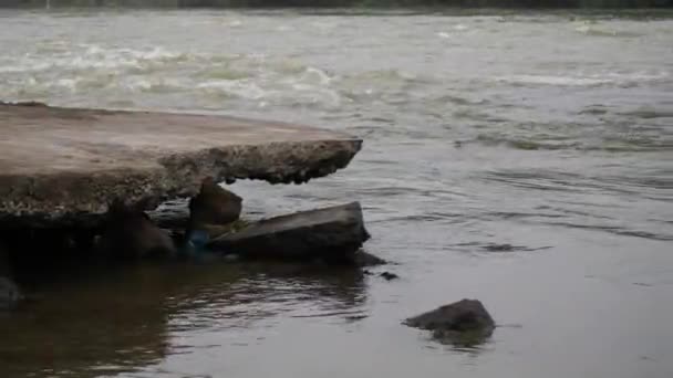Бегущая Река Большой Плоской Скалой Посередине Камера Захвата Стороны — стоковое видео