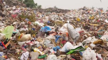 Büyük bir çöp öğütme alanı. Kuşlar uçuşan meltem etkisi.