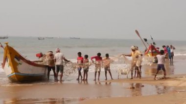 Erkekler ve çocuklar balık teknesinden bir sürü balık içeren bir balık ağını sürüklüyorlar.