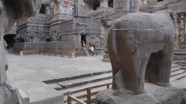 Backside View Ellora Cave Ruins India Elephant — Stock Video