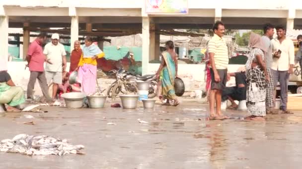 魚市場で会話する人々 床の上の魚 道路上を通過自転車 シララ魚市場 インド 12月2022 — ストック動画