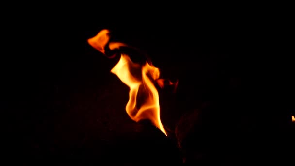 Tűz Lassan Sötétségben Szél Lángra Lobbant — Stock videók