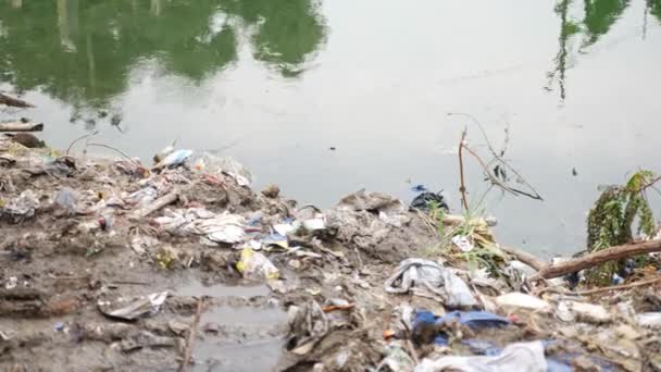 水污染 带有水的垃圾 — 图库视频影像