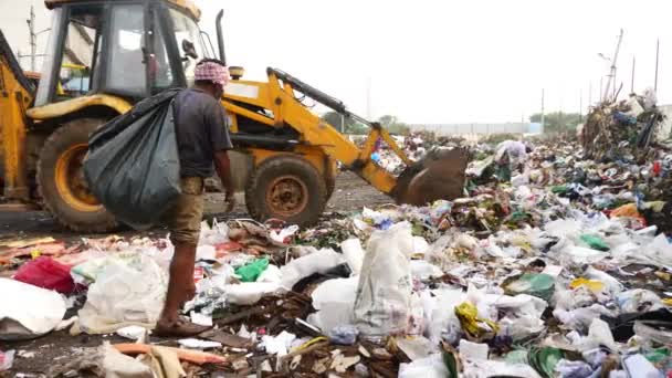 City Dump Bulldozer Compacts Garbage Landfill — Stock Video