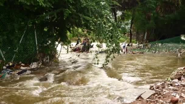 Rivière Boueuse Crue Inondations Par Pluie Tempête Inondations Calamité — Video