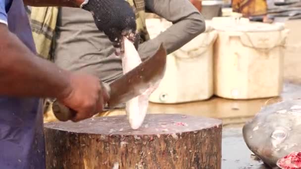 Vendedor Peixe Cortando Barbatanas Bordas Afiadas Peixe Seguida Raspando Seu — Vídeo de Stock