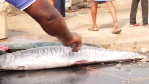 Człowiek Używający Noża Wydrapania Skrzeli Wielkiej Ryby Stole — Wideo stockowe