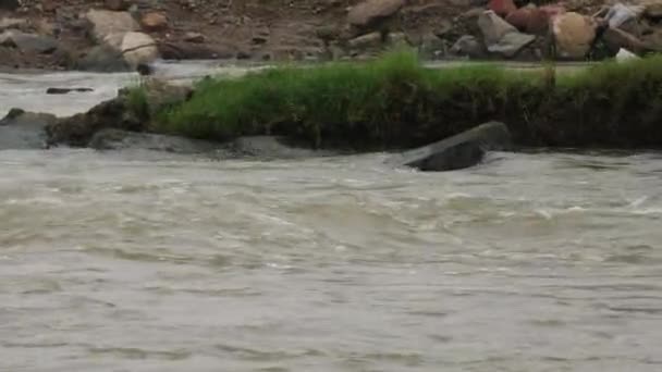 Протікаюча Річкова Вода Спірографічна Скеля Центрі Річки Берег Річки Видом — стокове відео