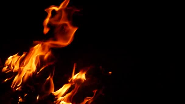 在黑暗的背景下 燃烧的木棍放出黄色的火焰 — 图库视频影像