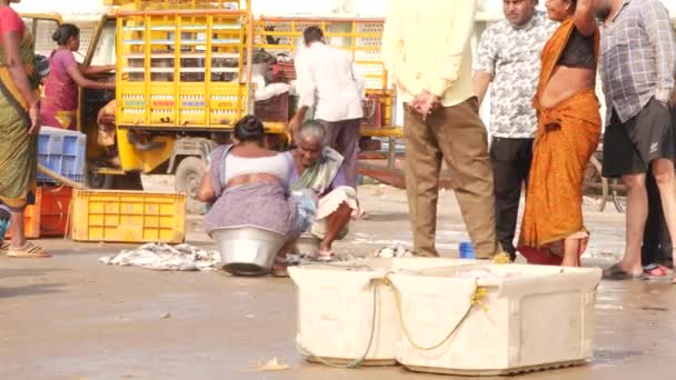 2人の女性が座って魚を選別し 立っている人々 Chirala Fish Market India 2022年12月 — ストック動画