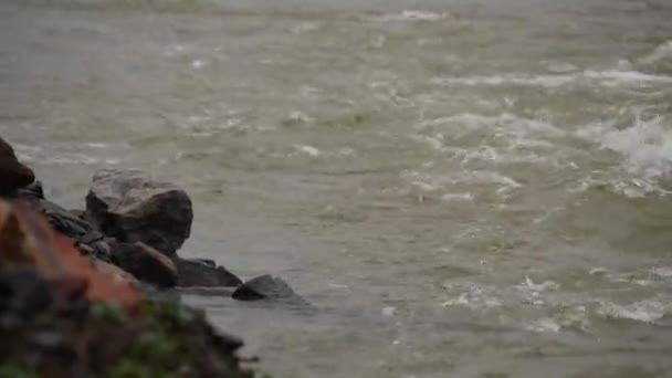 小泡沫形成小泡沫的奔流的河水 角上的石头 — 图库视频影像
