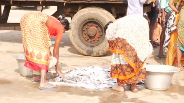 背景に2つのボウルに魚を詰め2人の女性 チララ魚市場 インド 12月2022 — ストック動画