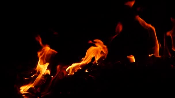 Oheň Hoří Kruzích Látky Produkující Oranžový Plamen — Stock video