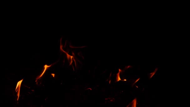 Flamme Feu Fait Descendre Lumière Dans Les Ténèbres — Video