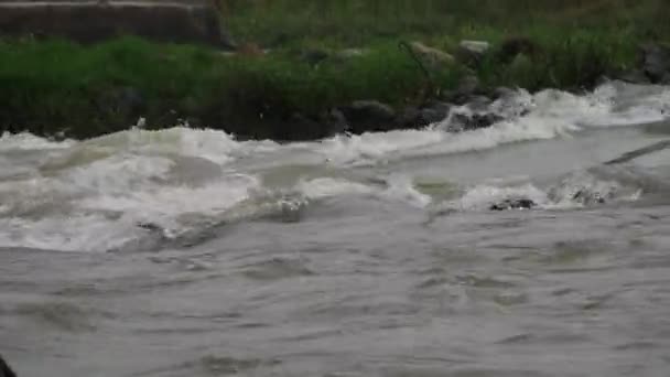 Захоплення Бурхливої Річки Каміння Річці Спіральна Скеля Березі — стокове відео