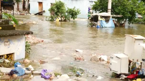 Rivière Boueuse Crue Inondations Par Pluie Tempête Inondations Calamité — Video