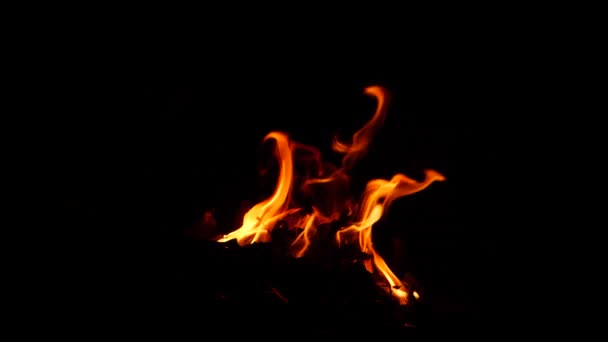 Oheň Hoří Čáře Rudý Plamen Fouká Tmě — Stock video