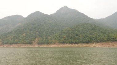 Çalı bir tepe ve yeşil bir okyanusun hareket kısa klipsi