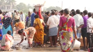 İnsanlar balık pazarında büyük tavada balık ayıklıyor ve Carring balık tutuyor - Chirala Balık Pazarı, AP, Hindistan - Aralık 2022