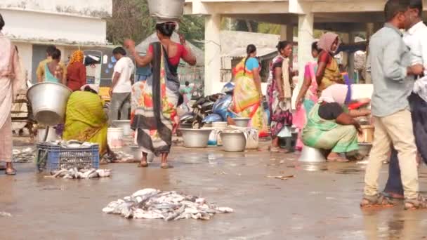 背景に販売されている議論や女性の地上の男性に魚 キララ魚市場 インド 12月2022 — ストック動画