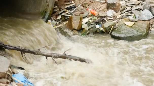 Kirliliği Suyla Birlikte Çöp — Stok video