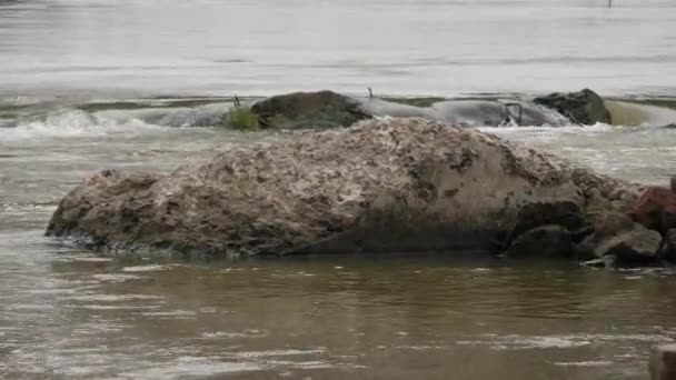 Захоплення Великої Скелі Посеред Протікаючої Річки — стокове відео