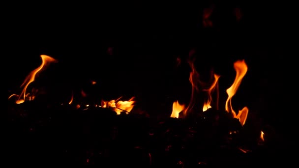 Full Video Van Vuur Branden Een Lijn Donkere Achtergrond — Stockvideo
