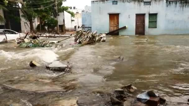 Agua Turbia Del Río Inundación Afectada Río Inundado — Vídeos de Stock