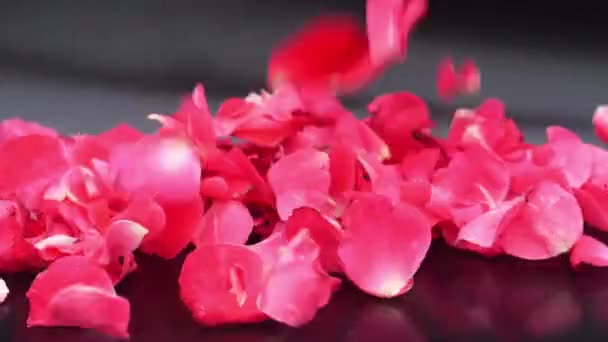 Лепестки Роз Падают Замедленной Съемке Черным Фоном — стоковое видео