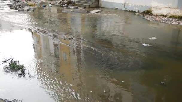 Residuos Basura Basura Flotaban Una Ciudad Contaminada Hyderabad — Vídeos de Stock