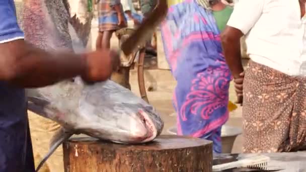 Человек Вырезающий Рот Большой Рыбе Доске — стоковое видео