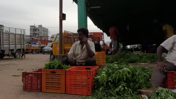 地元の野菜市場から野菜を購入する人の見方 — ストック動画