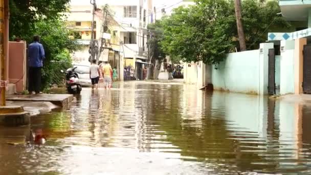 Maisons Inondées Dans Village Raison Des Inondations Dans Hyderabad — Video