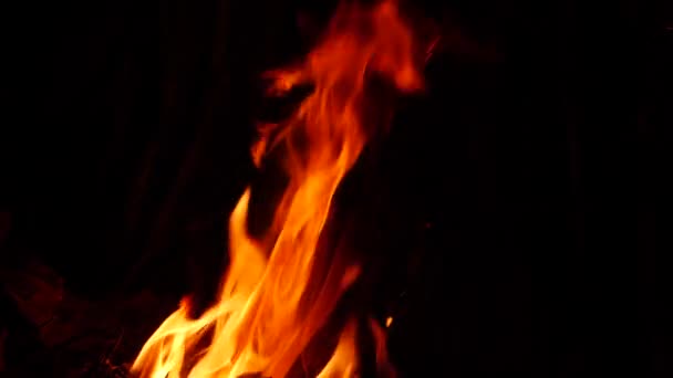 Hořící Oheň Temnotě Žlutý Oranžový Plamen — Stock video