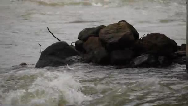 Pedras Que Encontram Entre Águas Fluidas Rio — Vídeo de Stock