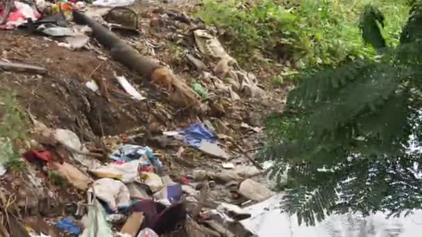 Müllentsorgung Der Nähe Eines Kleinen Flusses Bäume Wehen Über Den — Stockvideo