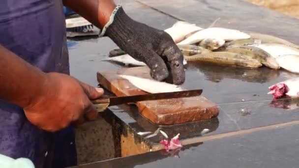 Człowiek Przecinający Płetwę Ostre Boki Bardzo Małej Ryby — Wideo stockowe